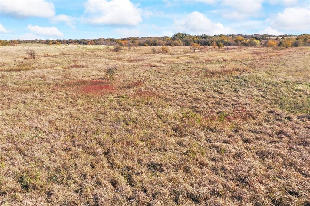 1315 Fm 677 S, Saint Jo, TX 76265 View of local wilderness with rural landscape