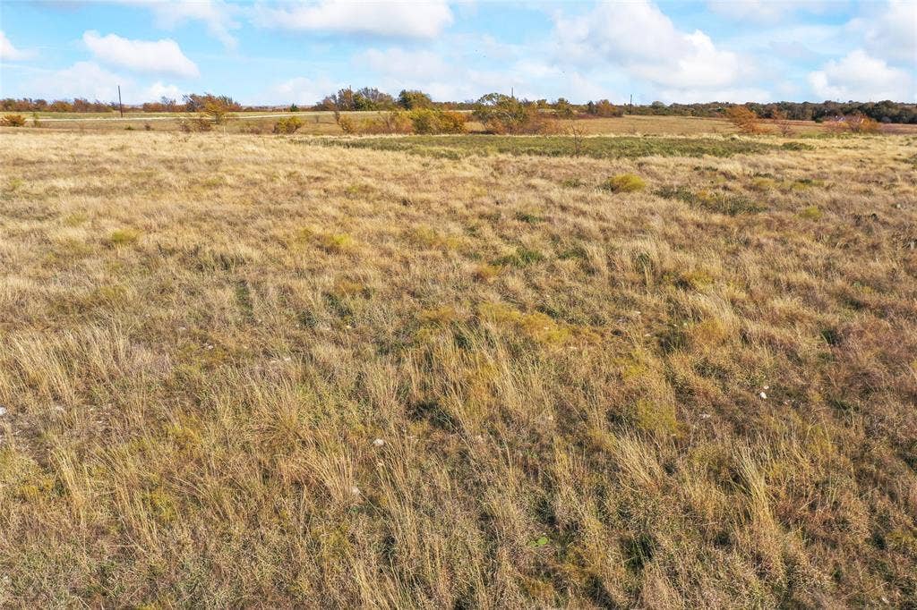 1315 Fm 677 S, Saint Jo, TX 76265 View of local wilderness featuring rural landscape