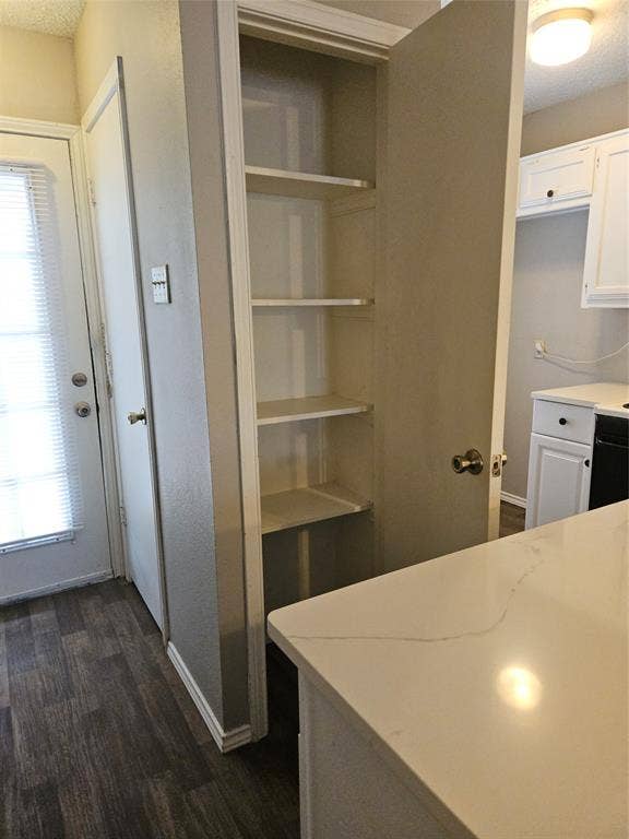 808-810 Red Bud Drive, DeSoto, TX 75115 810 - Pantry closet.