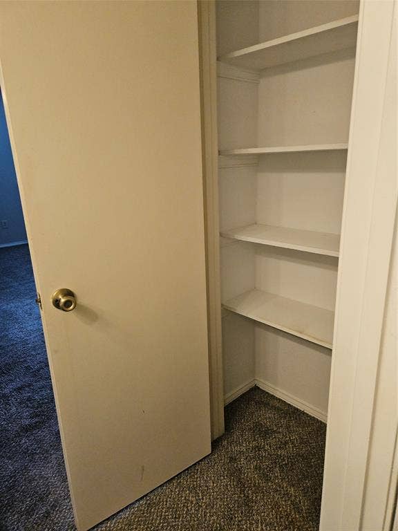 808-810 Red Bud Drive, DeSoto, TX 75115 810 - Bathroom storage across from outer vanity.