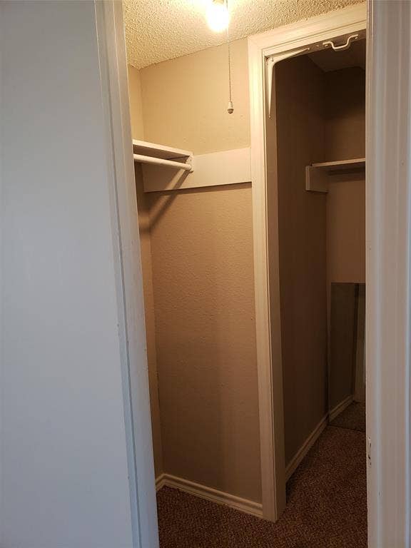 808-810 Red Bud Drive, DeSoto, TX 75115 808 - Carpeted downstairs closet, hanging rod and shelf, wraps around under stairs.