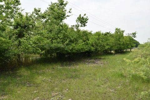Property photo for 0 Cr-283, Terrell, TX