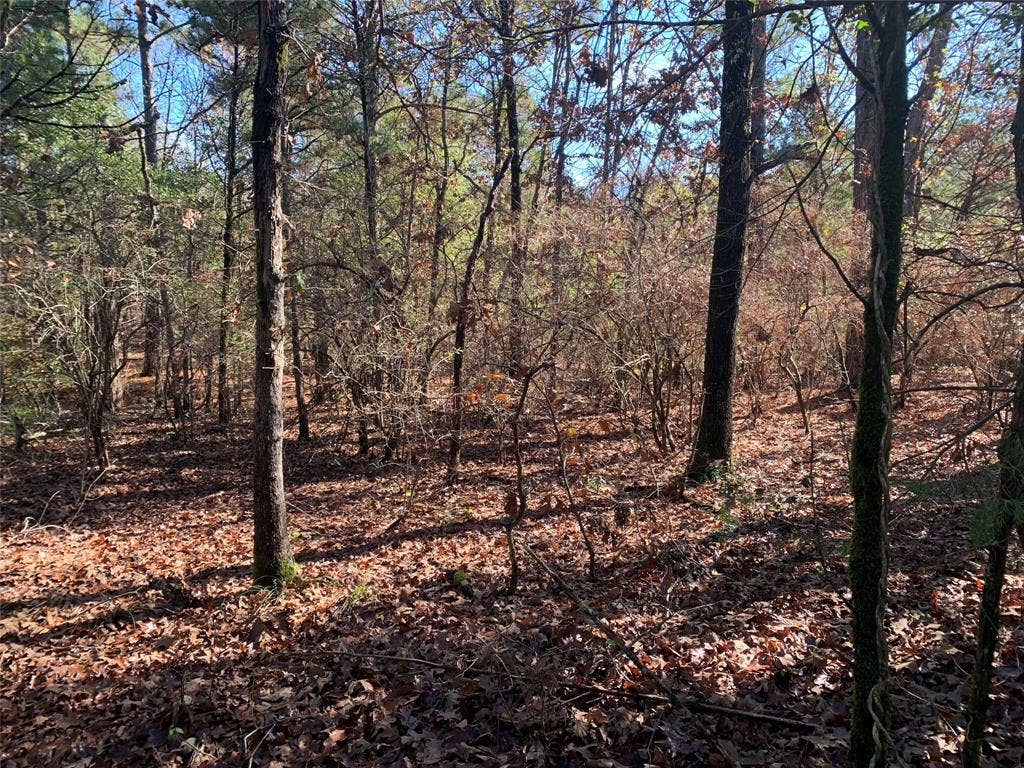 905 W Cayuga Drive, Athens, TX 75751 905 W Cayuga Drive, Athens, TX 75751