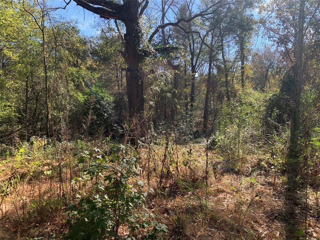 905 W Cayuga Drive, Athens, TX 75751 905 W Cayuga Drive, Athens, TX 75751
