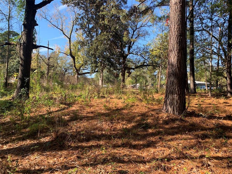 Property photo for 905 W Cayuga Drive, Athens, TX
