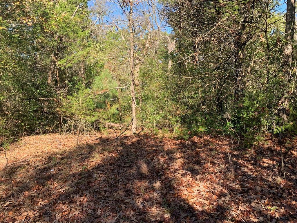 905 W Cayuga Drive, Athens, TX 75751 905 W Cayuga Drive, Athens, TX 75751