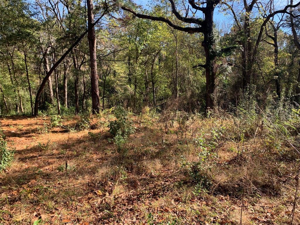905 W Cayuga Drive, Athens, TX 75751 905 W Cayuga Drive, Athens, TX 75751