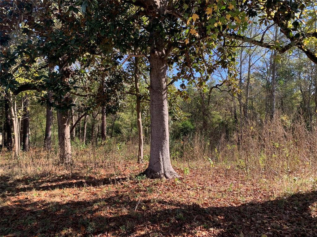905 W Cayuga Drive, Athens, TX 75751 905 W Cayuga Drive, Athens, TX 75751