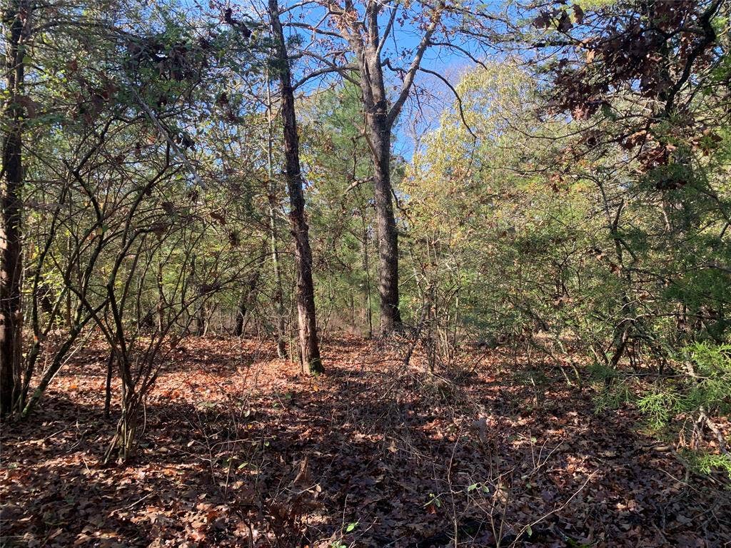905 W Cayuga Drive, Athens, TX 75751 905 W Cayuga Drive, Athens, TX 75751