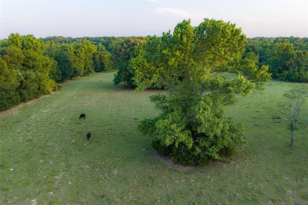 13612 County Road 3900, Athens, TX 75752 13612 County Road 3900, Athens, TX 75752