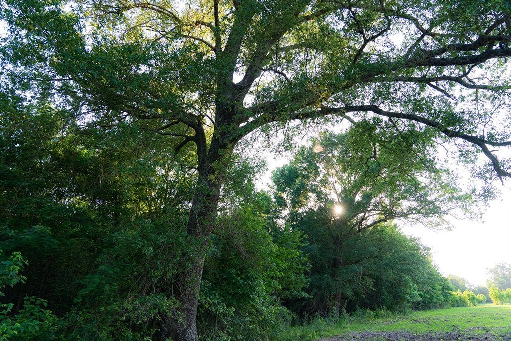 13612 County Road 3900, Athens, TX 75752 13612 County Road 3900, Athens, TX 75752