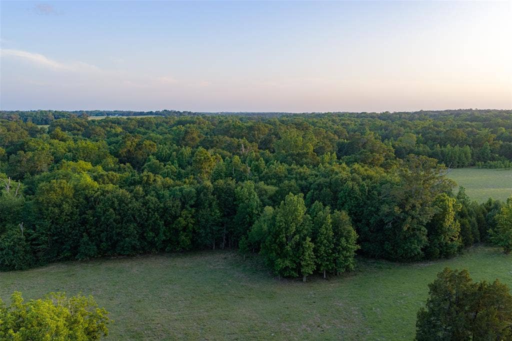 13612 County Road 3900, Athens, TX 75752 13612 County Road 3900, Athens, TX 75752