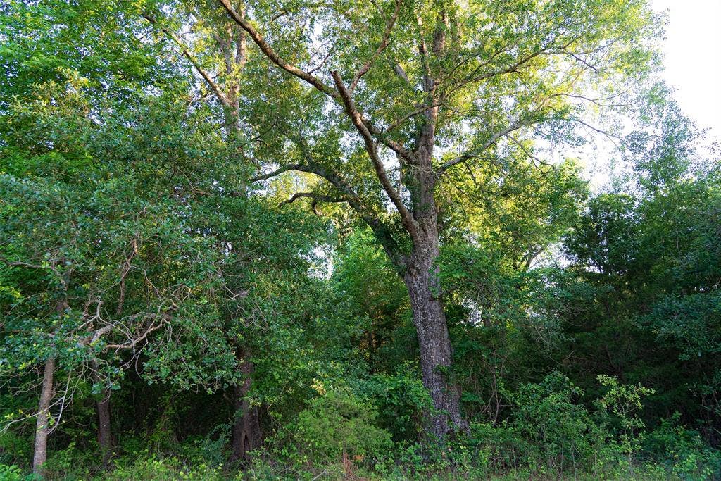 13612 County Road 3900, Athens, TX 75752 13612 County Road 3900, Athens, TX 75752