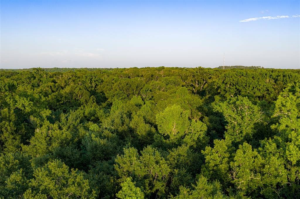 13612 County Road 3900, Athens, TX 75752 13612 County Road 3900, Athens, TX 75752