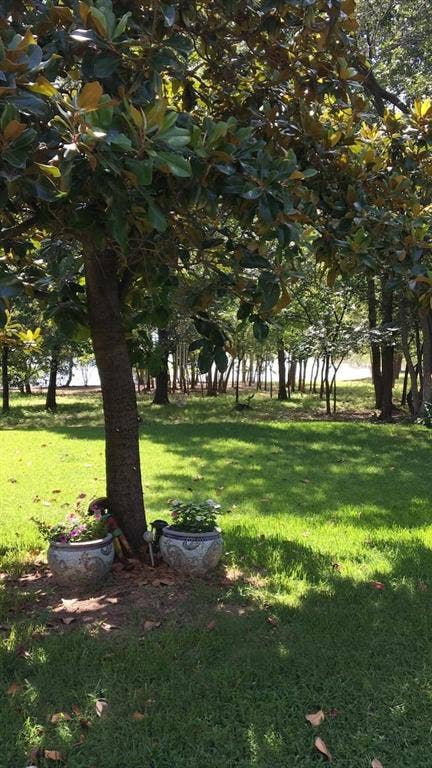 TBD Jay Street, Shady Shores, TX 76208 View of grassy yard