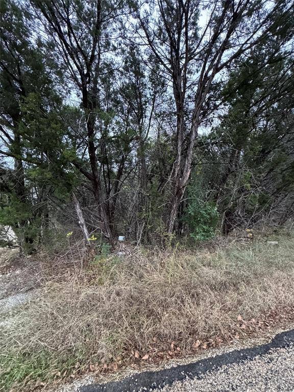 Property photo for 1013 Comanche Cove Drive, Granbury, TX