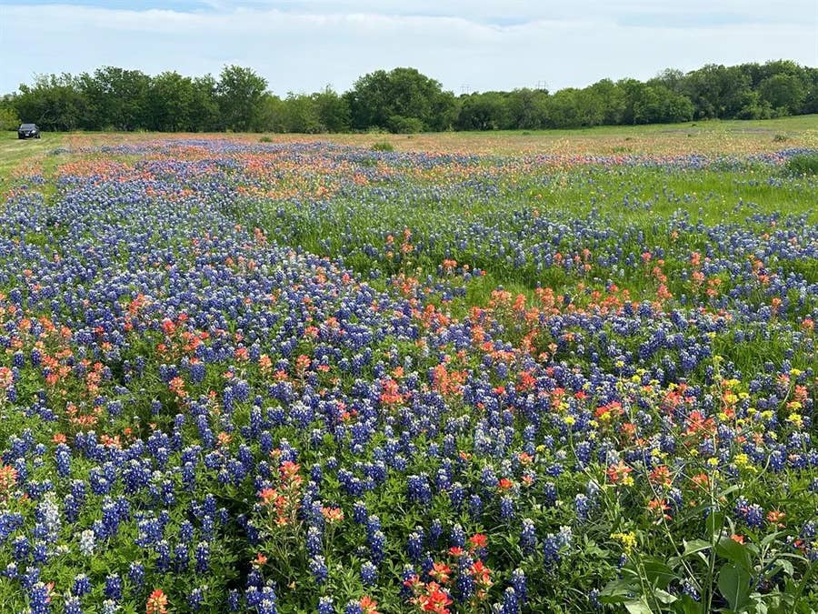Property photo for 00 Fm-660, Ennis, TX