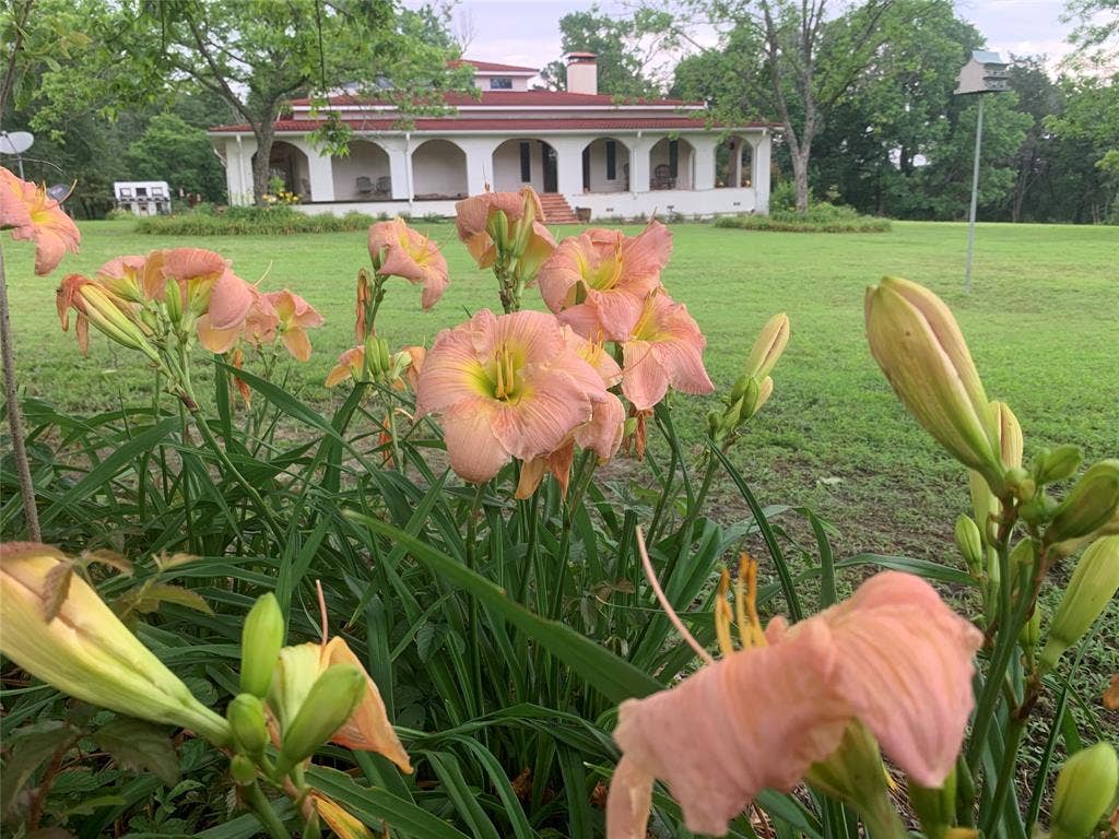 8414 County Road 3907, Athens, TX 75752 8414 County Road 3907, Athens, TX 75752