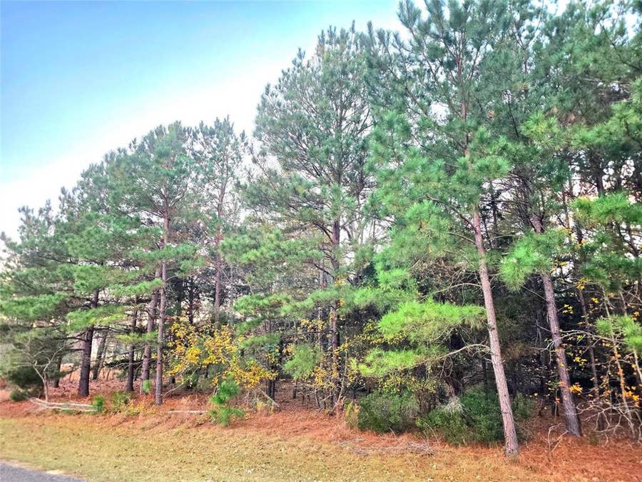 Property photo for Lot 401 Mallard Way, Larue, TX