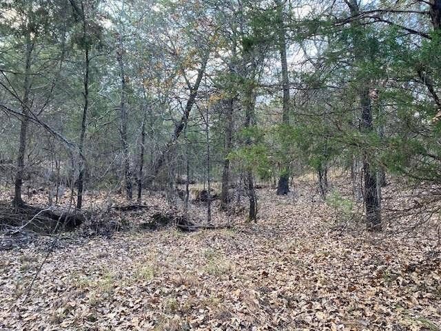 TBD N CR-1200, Athens, TX 75751 TBD N CR-1200, Athens, TX 75751