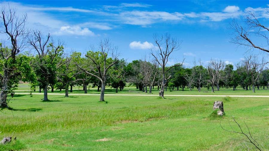 Property photo for 1700 Cirrus Loop, Granbury, TX
