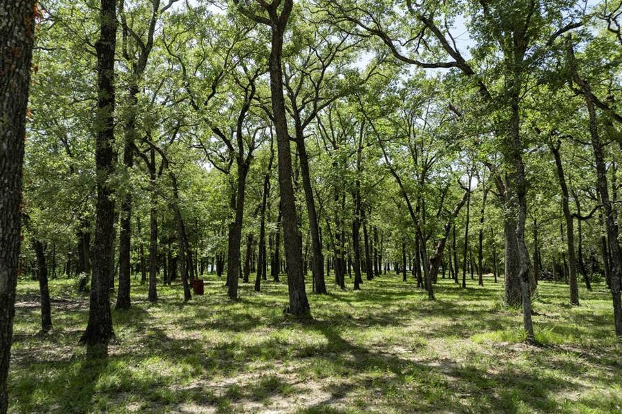Property photo for Lot 71 Anchor, Quinlan, TX