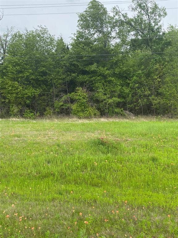 0 N US Hwy 175, Athens, TX 75751 0 N US Hwy 175, Athens, TX 75751