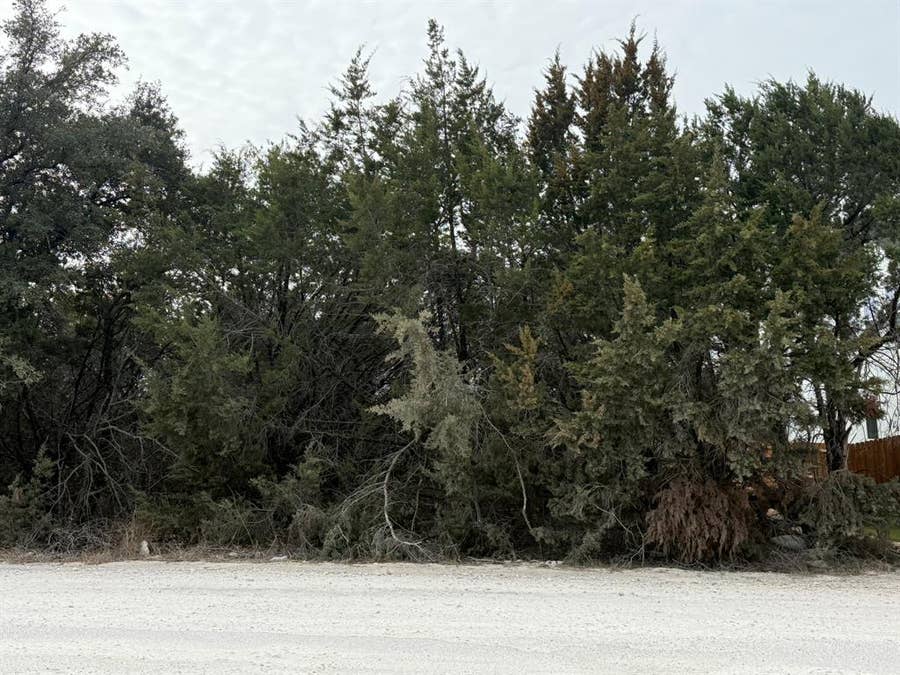 Property photo for 5614 Barkridge Drive, Granbury, TX