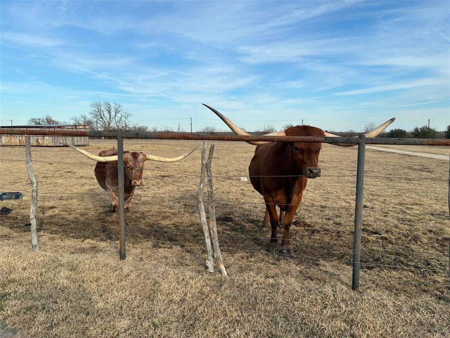 Property photo for 10917 County Road 290, Anna, TX