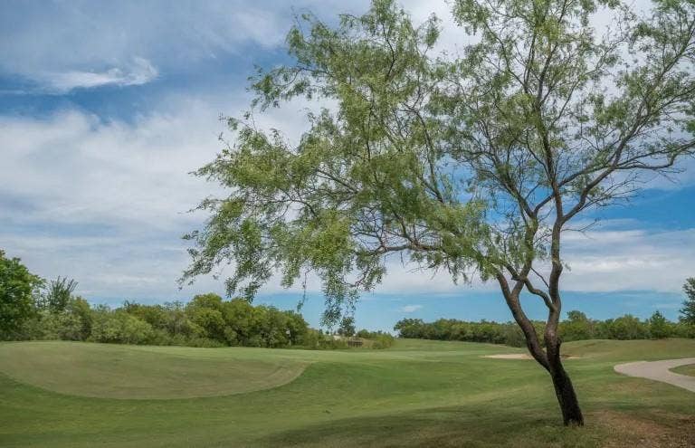 1492 Troon Drive, Frisco, TX 75036 Frisco Lakes Golf Course