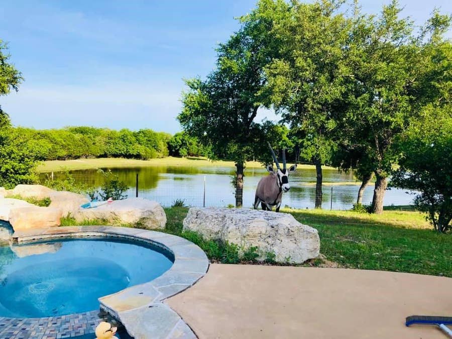 Property photo for 6101 CR 208, Lampasas, TX