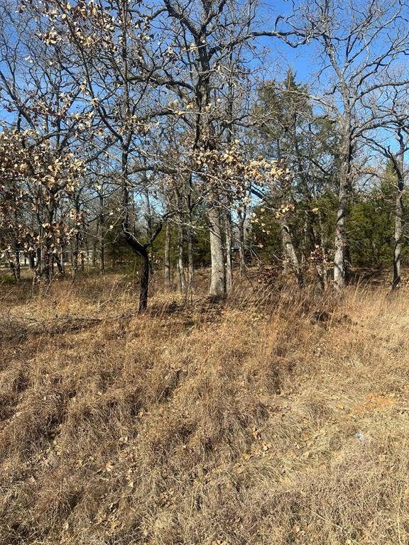 Property photo for 176 Oak Trail, Mabank, TX