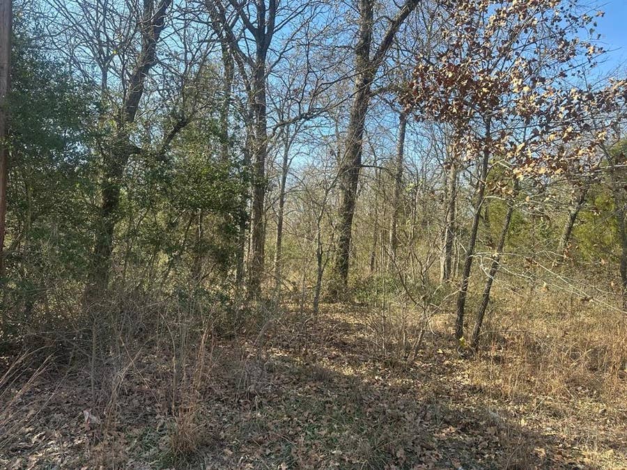 Property photo for 207 S Cherokee Shores Drive, Mabank, TX