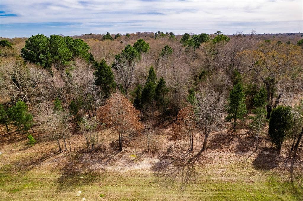 TBD Sandbog, Athens, TX 75751 TBD Sandbog, Athens, TX 75751