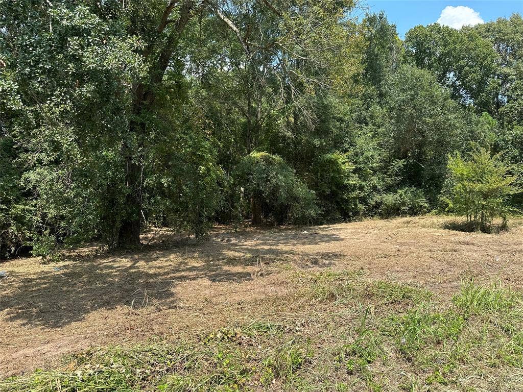 TBD Sandbog, Athens, TX 75751 TBD Sandbog, Athens, TX 75751