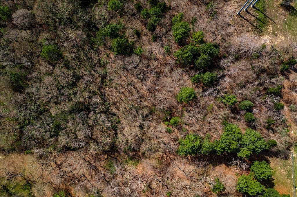 TBD Sandbog, Athens, TX 75751 TBD Sandbog, Athens, TX 75751