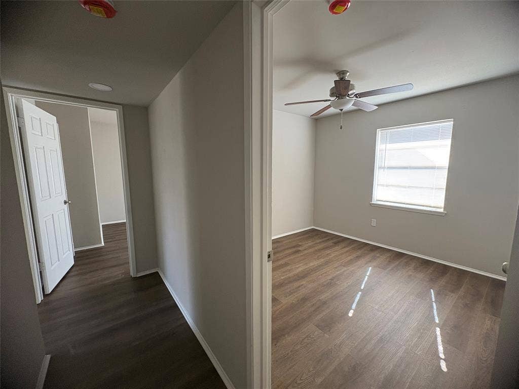 117 Yorkshire Drive, Cedar Hill, TX 75104 Established residential streetscape with mature trees and green lawns