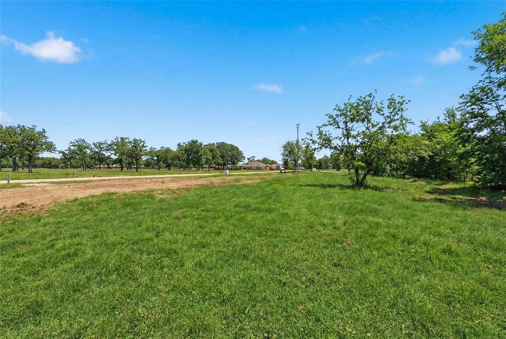 This is a photograph of Lot 4 Block G and was captured in February. It has been digitally enhanced to emphasize the presence of leaves and grass.