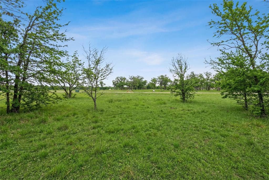 This is a photograph of Lot 4 Block G and was captured in February. It has been digitally enhanced to emphasize the presence of leaves and grass.