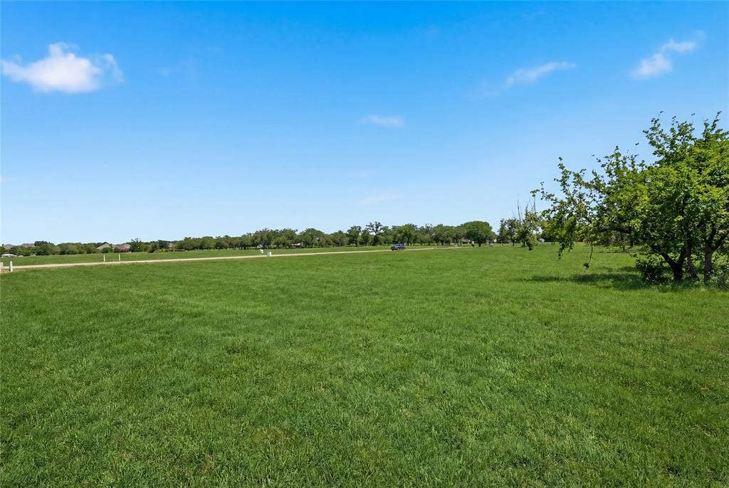 This is a photograph of Lot 2 Block G and was captured in February. It has been digitally enhanced to emphasize the presence of leaves and grass.