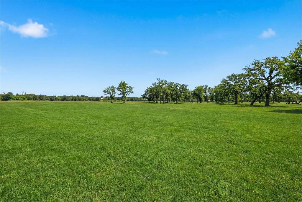 This is a photograph of Lot 8 Block J and was captured in February. It has been digitally enhanced to emphasize the presence of leaves and grass.