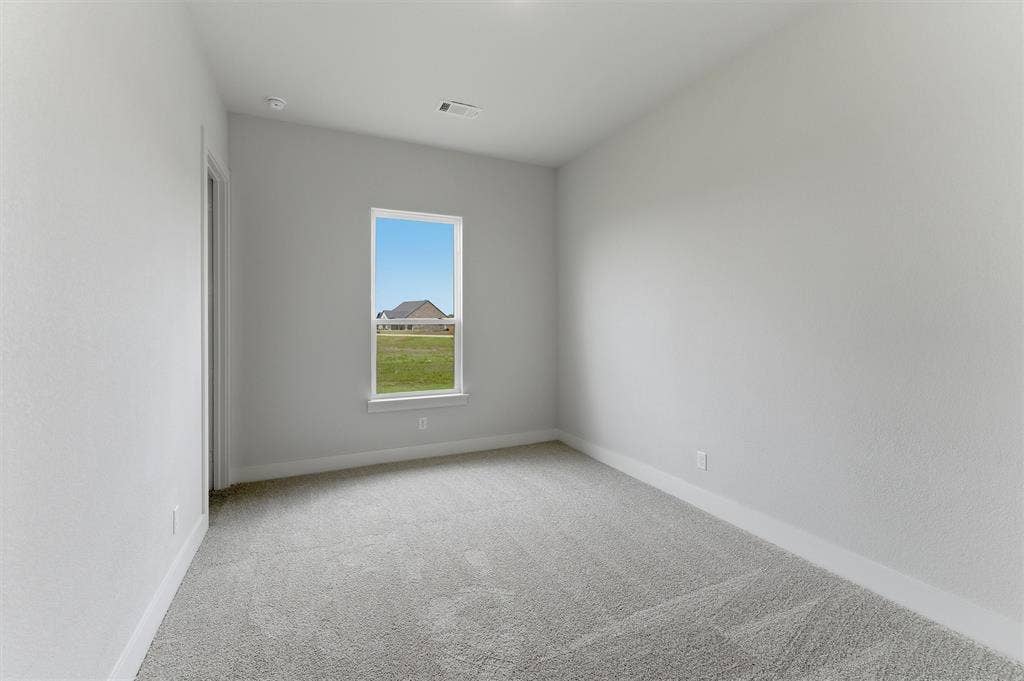 2204 Continent Court, Krum, TX 76249 Neutral color palette with textured walls, light-toned carpeting, and a single window with a white frame