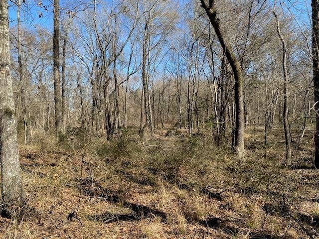 4101 CR 3703, Athens, TX 75752
