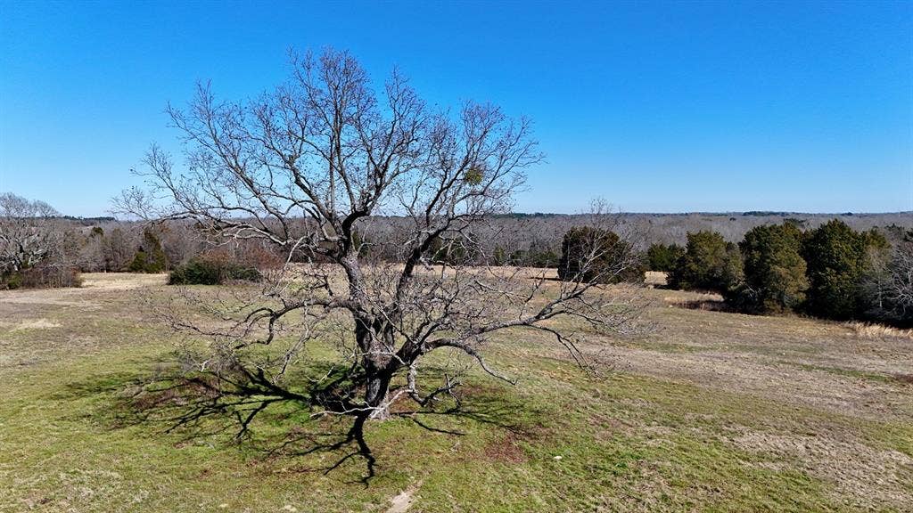 4101 CR 3703, Athens, TX 75752