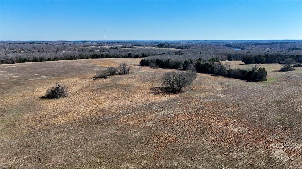 4101 CR 3703, Athens, TX 75752