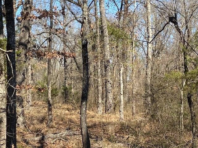 4101 CR 3703, Athens, TX 75752
