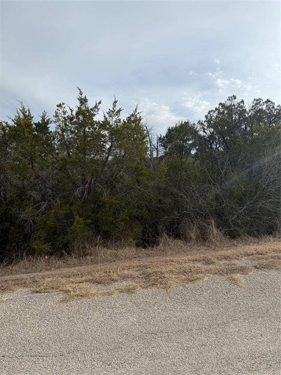 Property photo for 3111 Canadian River Trail, Granbury, TX