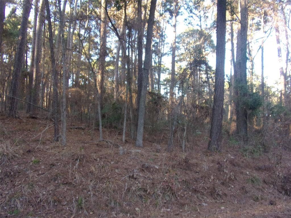 View of the two lots
