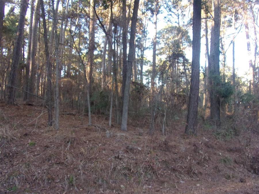 Property photo for tbd Lake Side Drive, Flint, TX