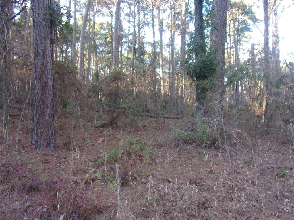 another view of the lots